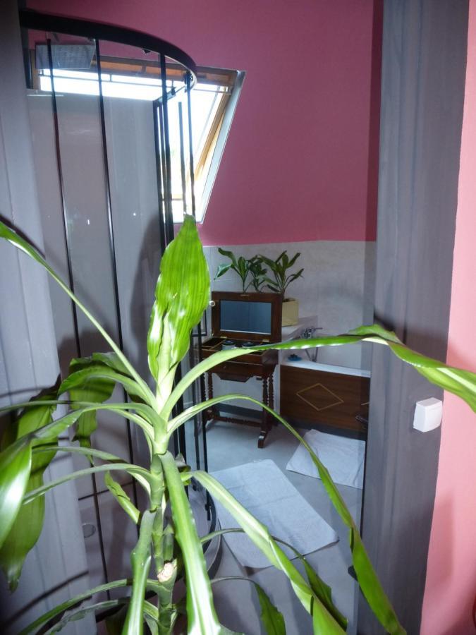 Bed and Breakfast La Petite Vigne à Amboise Extérieur photo