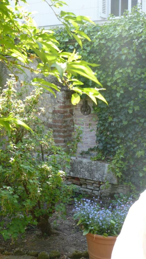 Bed and Breakfast La Petite Vigne à Amboise Extérieur photo