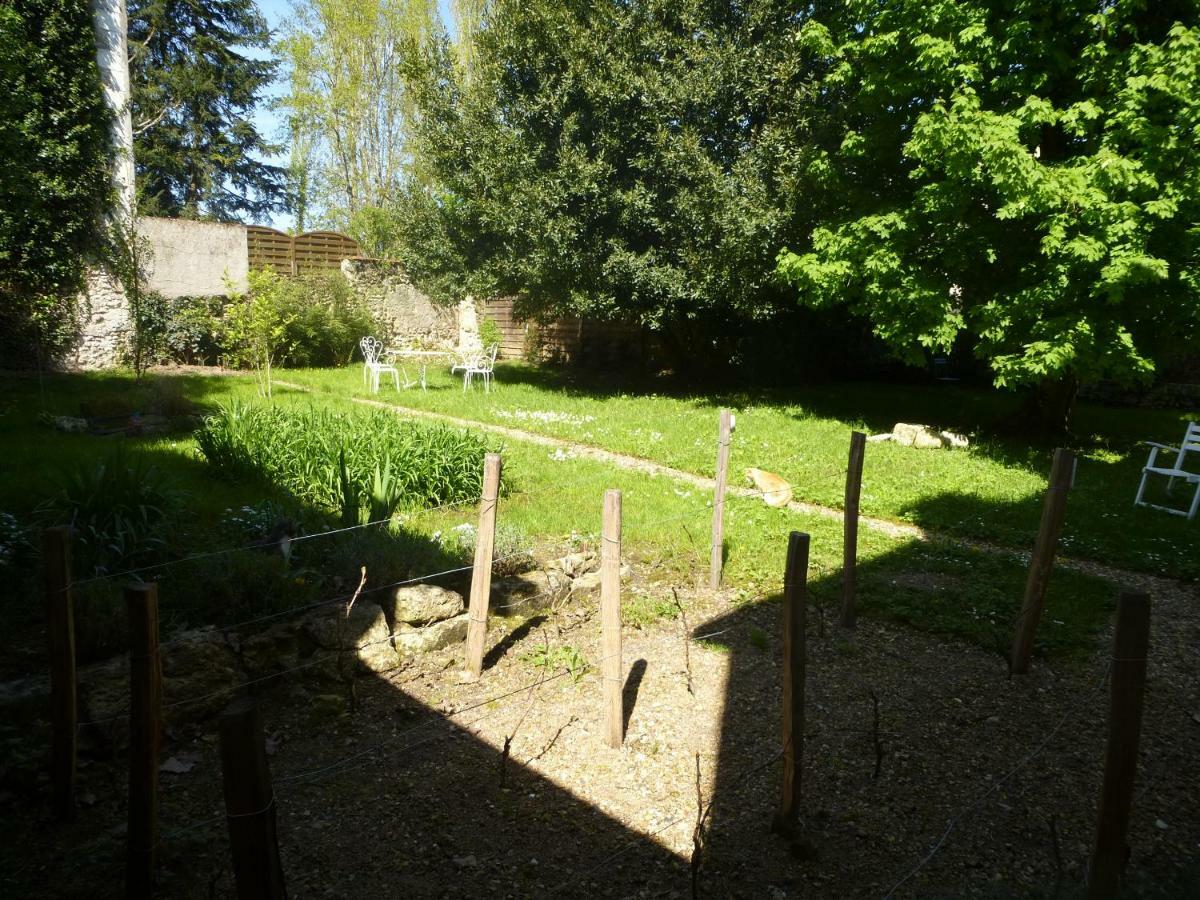 Bed and Breakfast La Petite Vigne à Amboise Extérieur photo