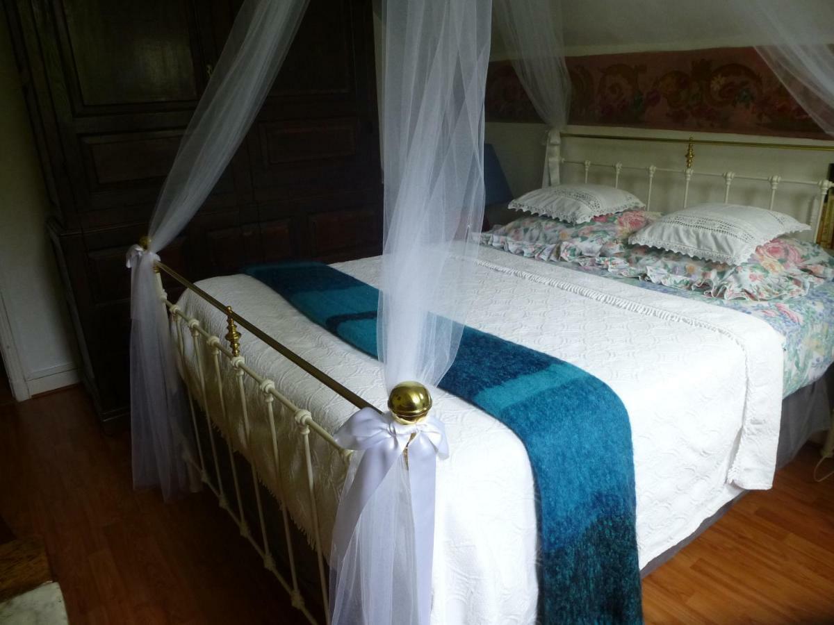 Bed and Breakfast La Petite Vigne à Amboise Extérieur photo