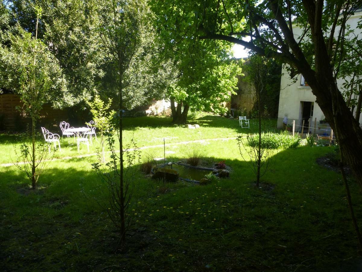Bed and Breakfast La Petite Vigne à Amboise Extérieur photo