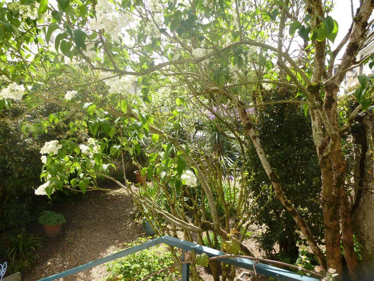 Bed and Breakfast La Petite Vigne à Amboise Extérieur photo