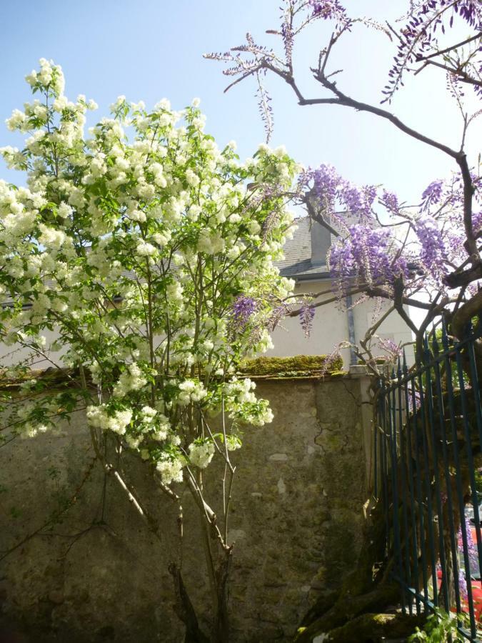 Bed and Breakfast La Petite Vigne à Amboise Extérieur photo