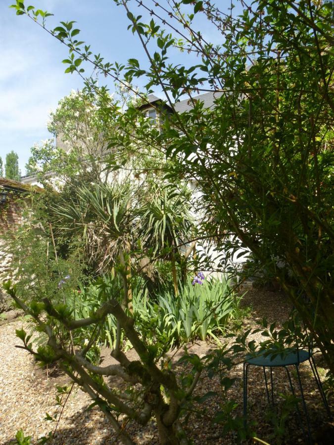 Bed and Breakfast La Petite Vigne à Amboise Extérieur photo